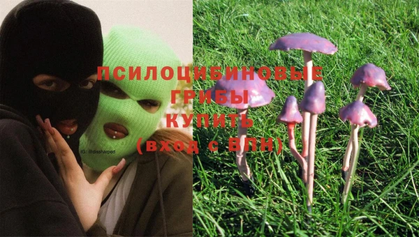 ешки Кинешма